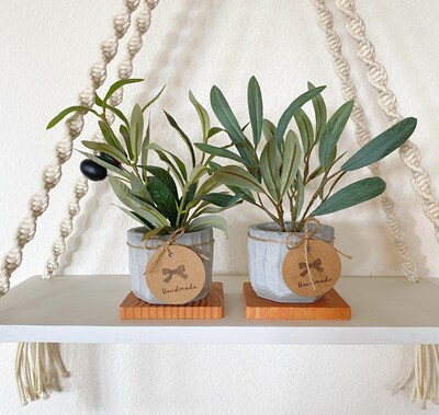 Artificial Mini Olive Tree in Handmade Pot with Wood Coaster - Small Faux Olive Tree - image9